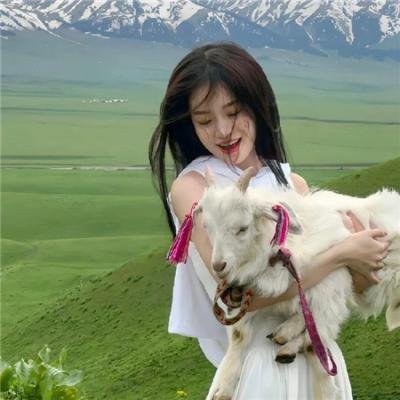 奇巧计程车剧场版