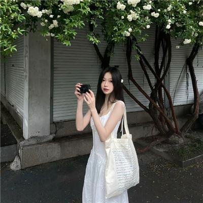 彩叶草之梦